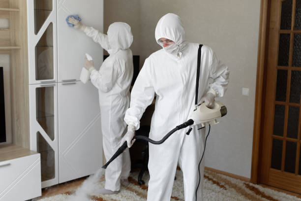 24/7 Emergency Odor Removal experts in Winchester, VA